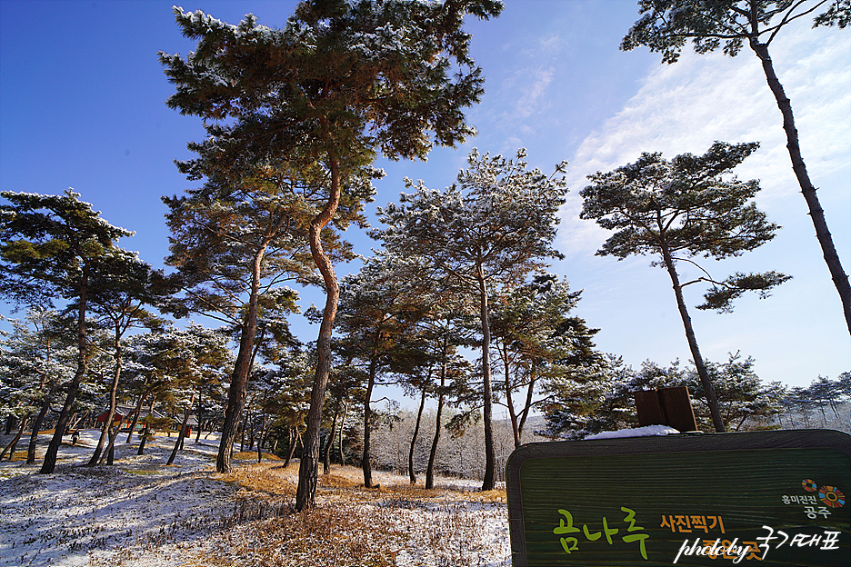 공주 가볼만한곳 공주한옥마을,공산성 주말 나들이