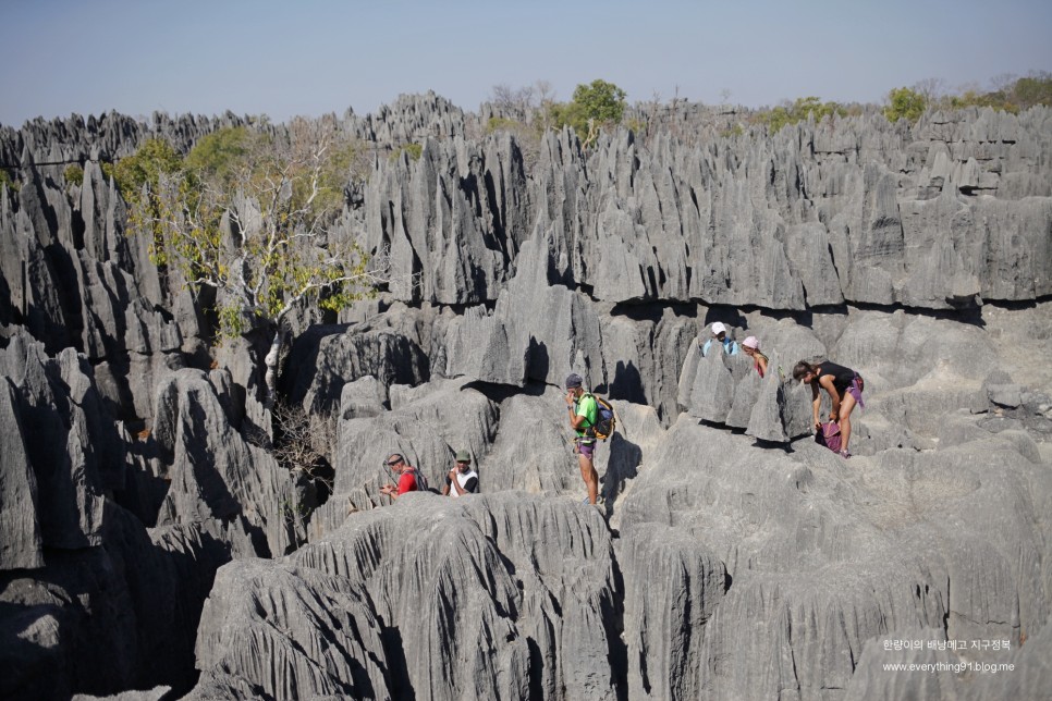 태초의 자연 미지의 마다가스카르 여행 칭기 Tsingy