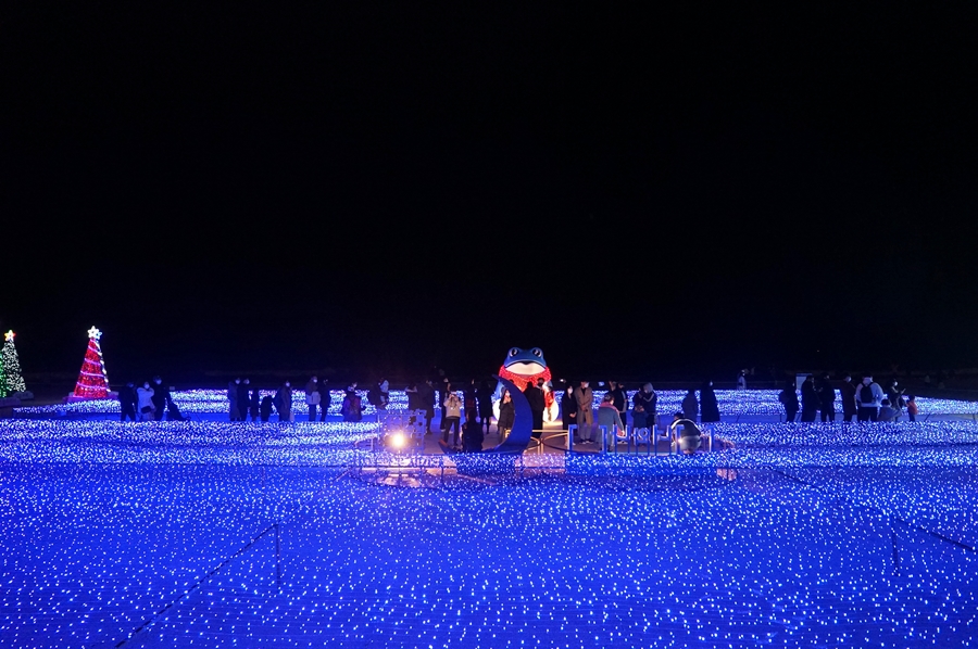 부산 데이트코스 해운대 빛축제 요즘 핫한 명소 놀거리로 추천