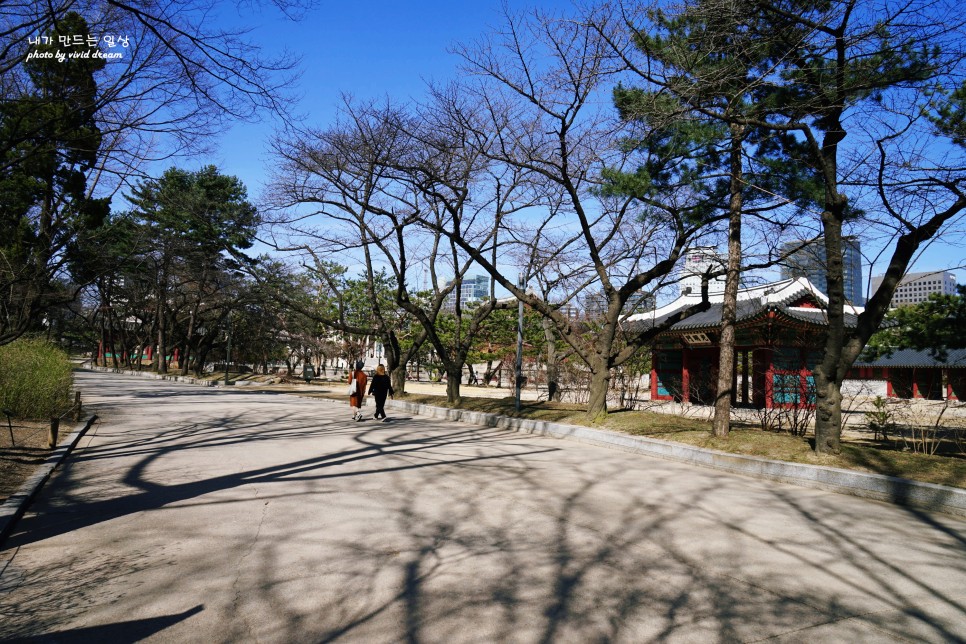 서울 궁궐 가볼만한곳 덕수궁