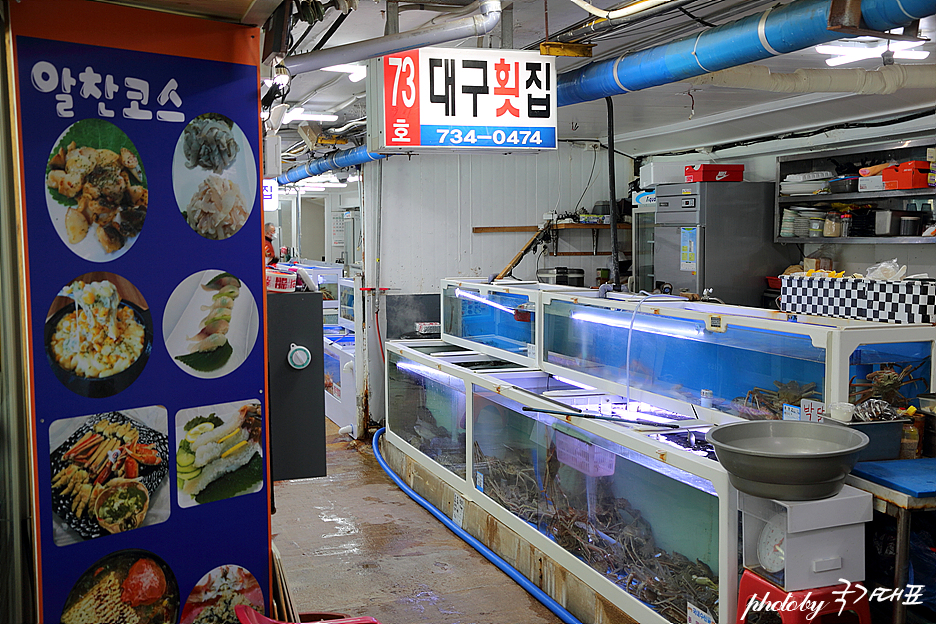 영덕 가볼만한곳 강구항 국내 영덕 대게 맛집 여행