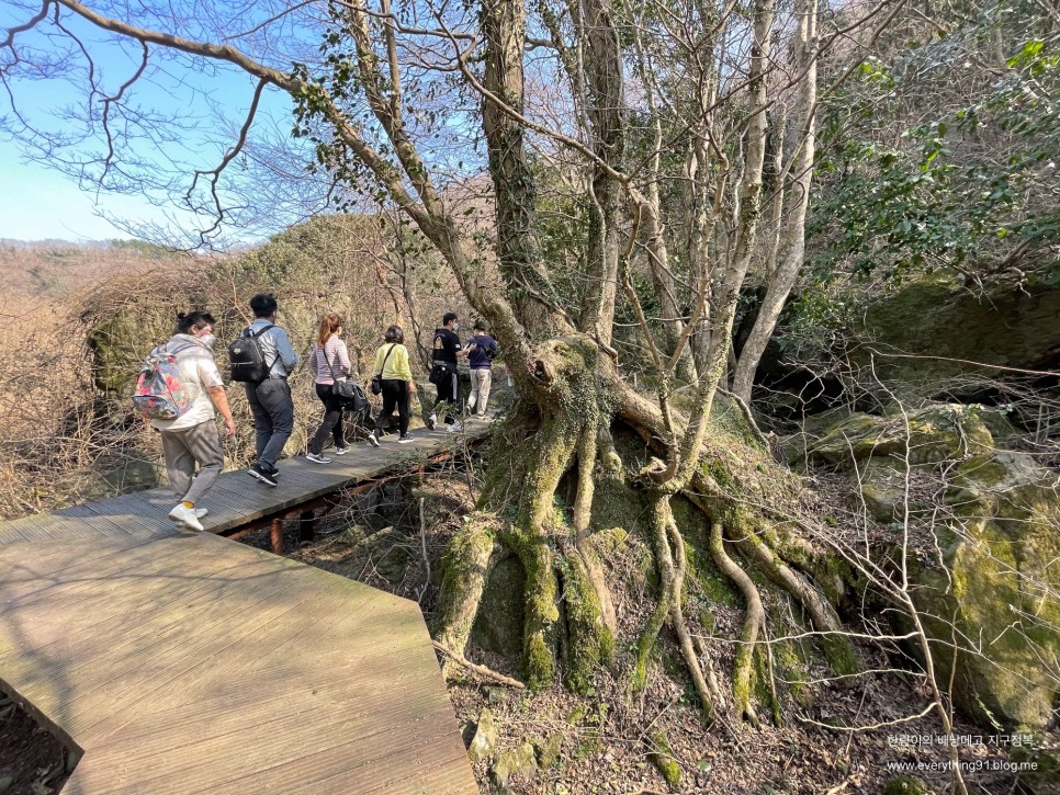 제주도 거문오름 탐방 예약하기