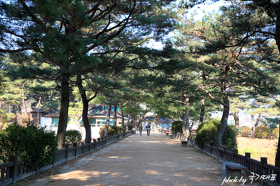 제천 여행 의림지 용추폭포 유리전망대 한국관광100선