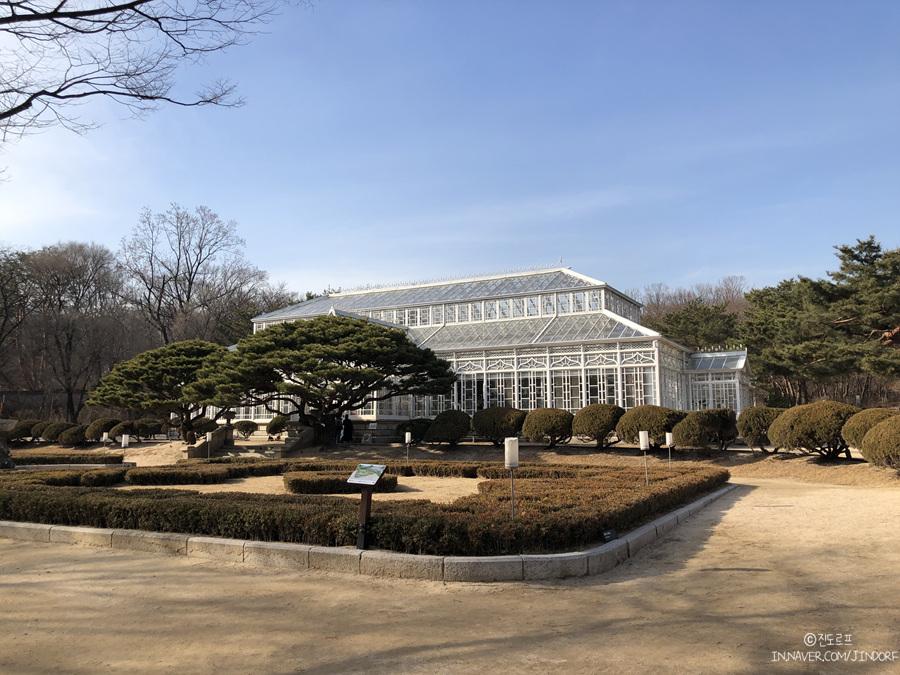 서울여행코스 창경궁 봄나들이 고양이 보러 가보아요~