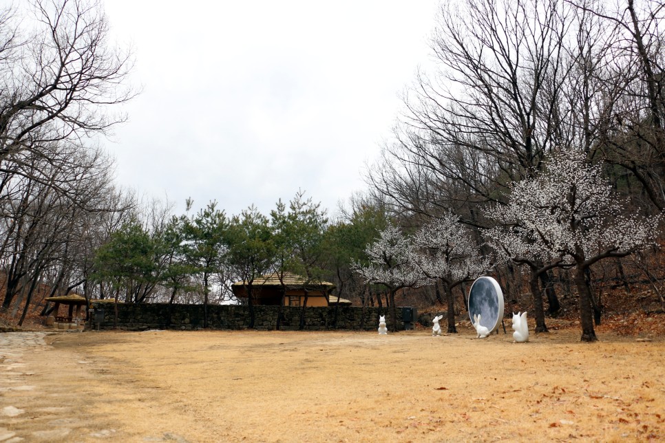 필받았던 성산일출봉 맛집 리스트