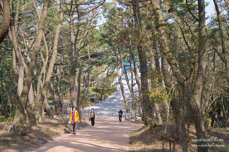 부산 여행 송도 케이블카 용궁구름다리 반나절~