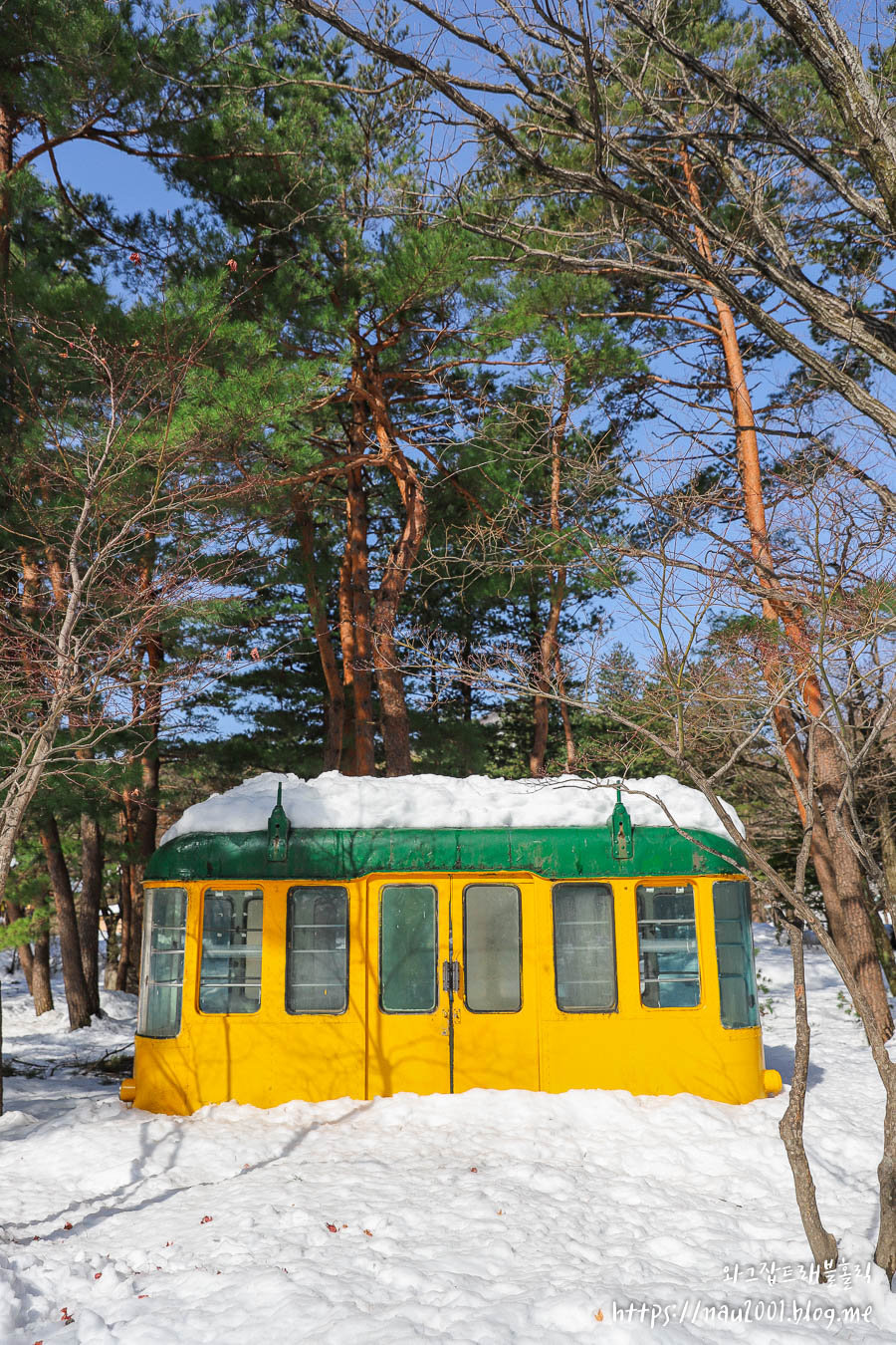 설악산 케이블카 타고 설악산국립공원 설경 감상