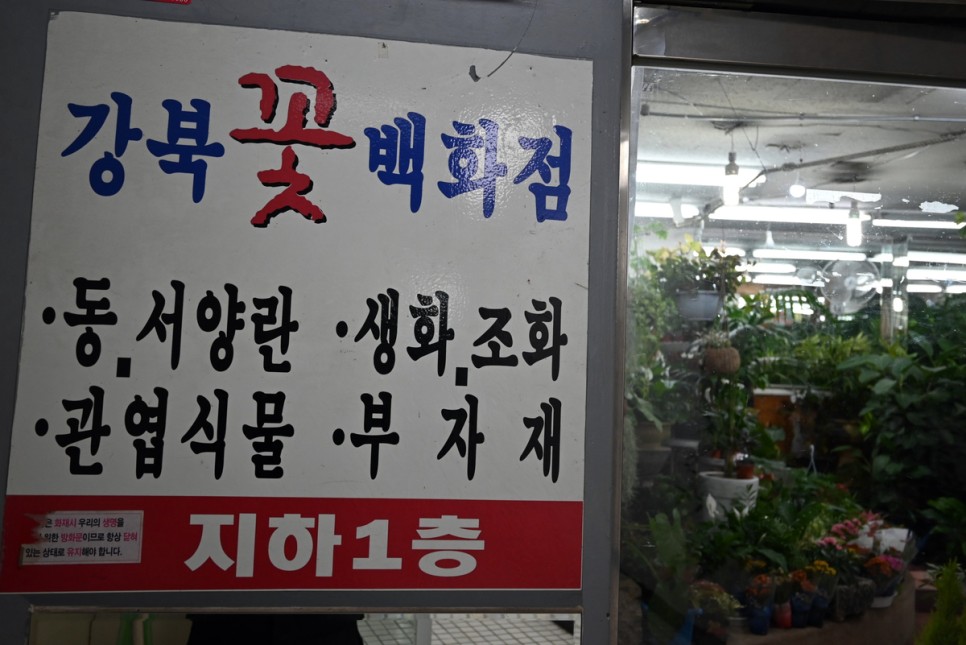 서울 데이트 만원의 행복 창동 꽃시장