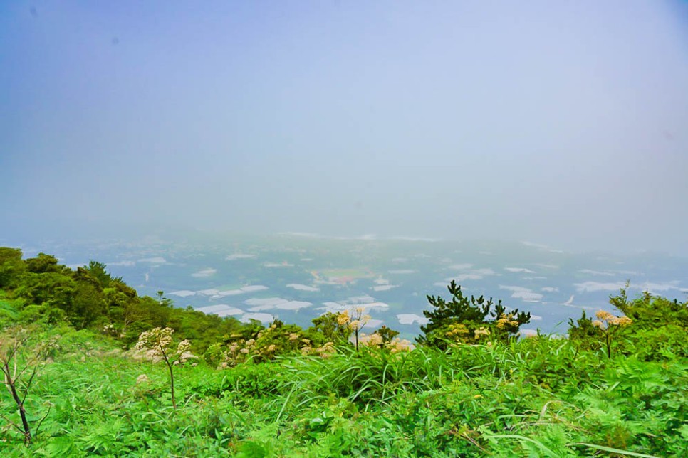 제주도오름 10분이면 올라가는 쉬운 제주오름 서귀포 군산오름 추천