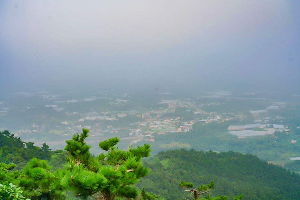 제주도오름 10분이면 올라가는 쉬운 제주오름 서귀포 군산오름 추천