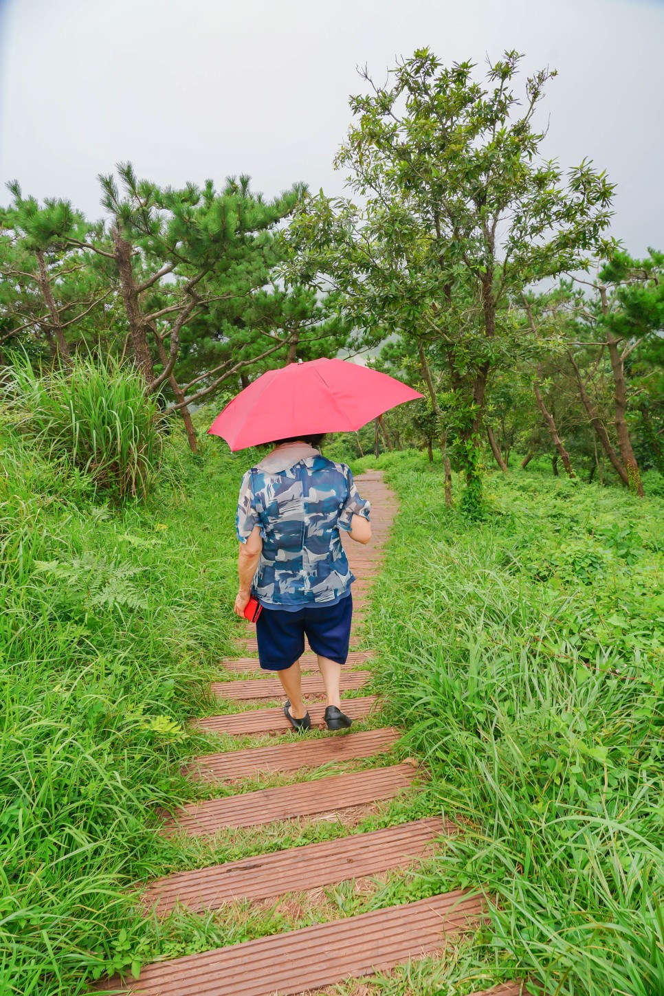 제주도오름 10분이면 올라가는 쉬운 제주오름 서귀포 군산오름 추천