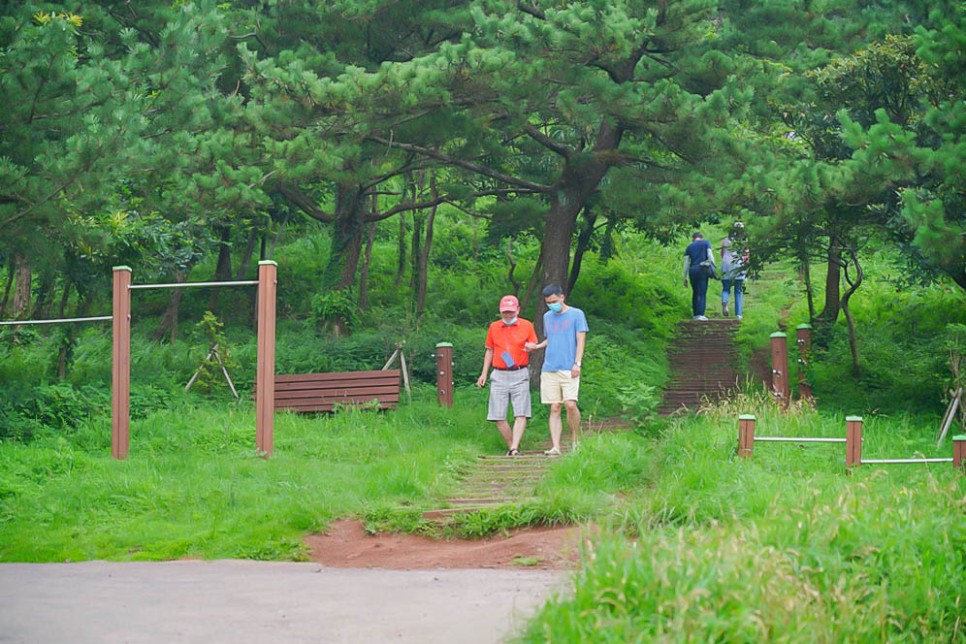 제주도오름 10분이면 올라가는 쉬운 제주오름 서귀포 군산오름 추천