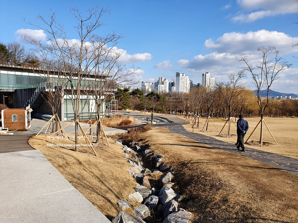 북서울 꿈의숲 서울 공원 나들이 주말데이트 산책