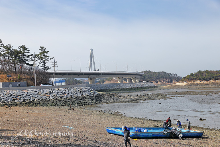 군산 여행 신시도 벽화마을 드라이브