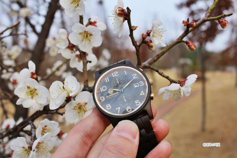 에테르노 나무시계, 가벼운 손목시계 추천
