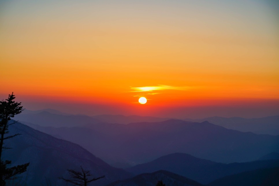 용평 가볼만한곳 용평리조트 발왕산 케이블카 일몰명소