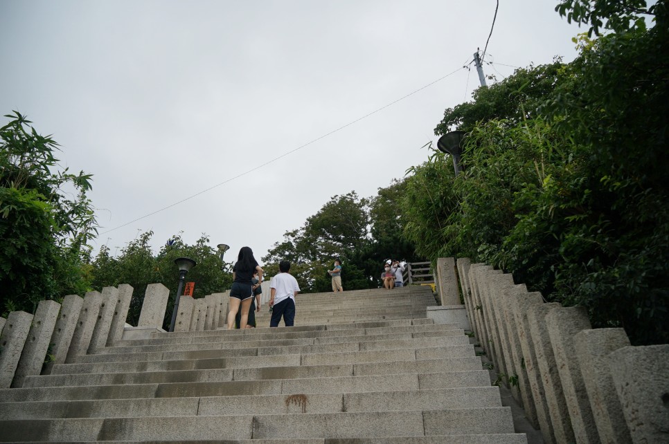 경북 포항 가볼만한곳 구룡포 일본인 가옥거리(동백꽃필무렵 촬영지)