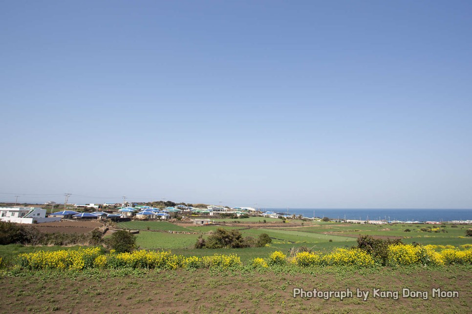 제주 가볼만한곳 멀게만 느껴지는 제주도 동쪽 코스 제주 우도 여행