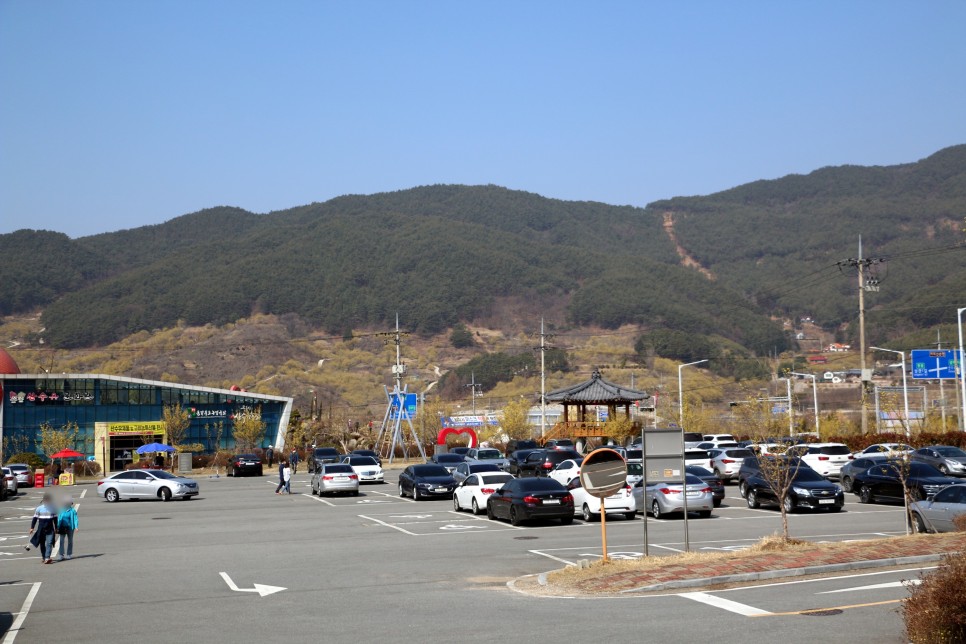 구례 산수유마을 꽃축제는 취소돼도 봄향기는 가득해요