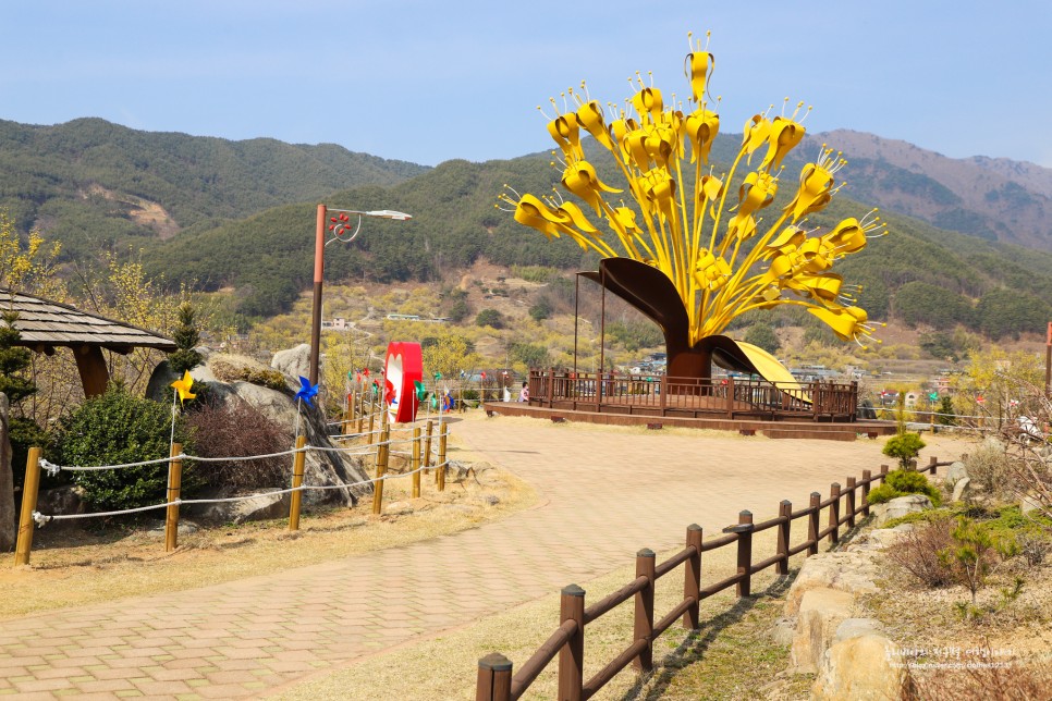 구례 산수유마을 실시간 3월11일 정보 (ft. 산수유꽃축제는 취소)