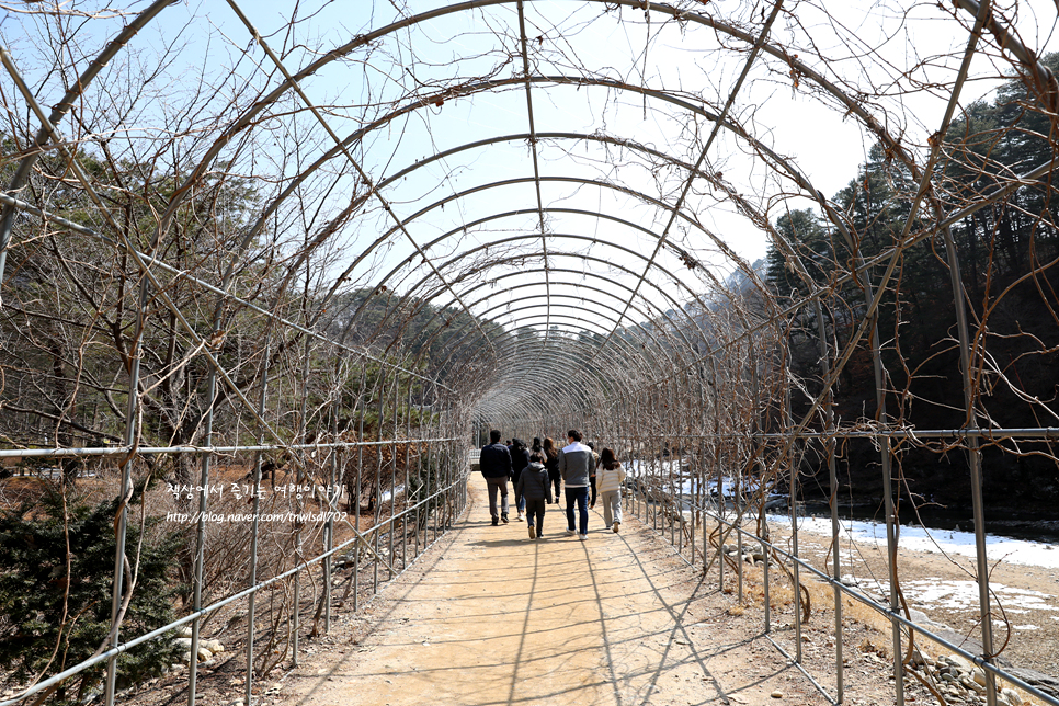 강원도 당일치기 여행 홍천 수타사 전국유명사찰