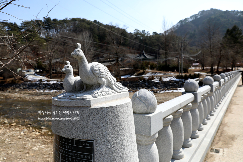 강원도 당일치기 여행 홍천 수타사 전국유명사찰