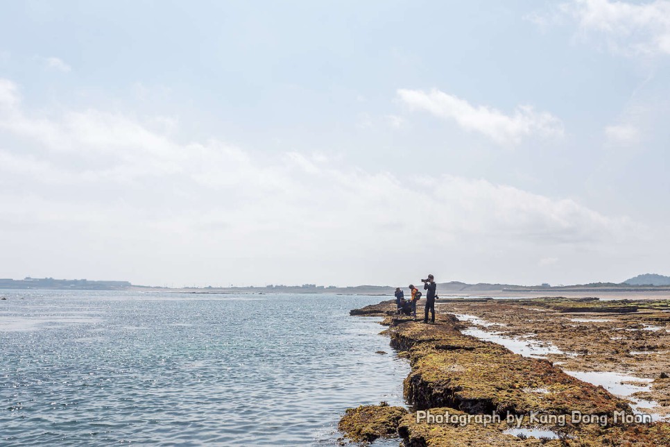 제주도 여행 제주 광치기해변 날씨가 좋아 더 푸른 바다와 하늘