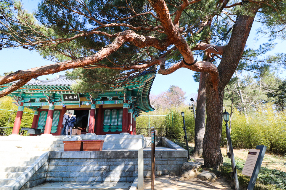 강릉 여행코스 오죽헌, 경포 해수욕장, 강문해변 등등 시내 여행