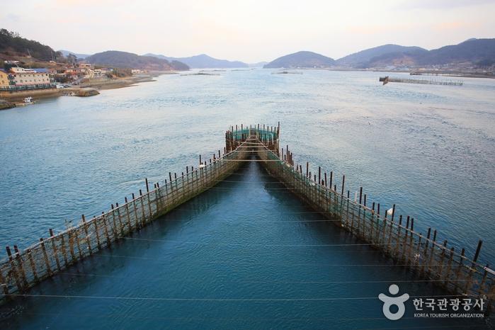 대한민국구석구석 / 3월 추천 가볼만한곳은 어디? 봄따라 맛따라 별미여행::부안 백합, 무창포 주꾸미, 남해 죽방멸치쌈밥, 울진 대게