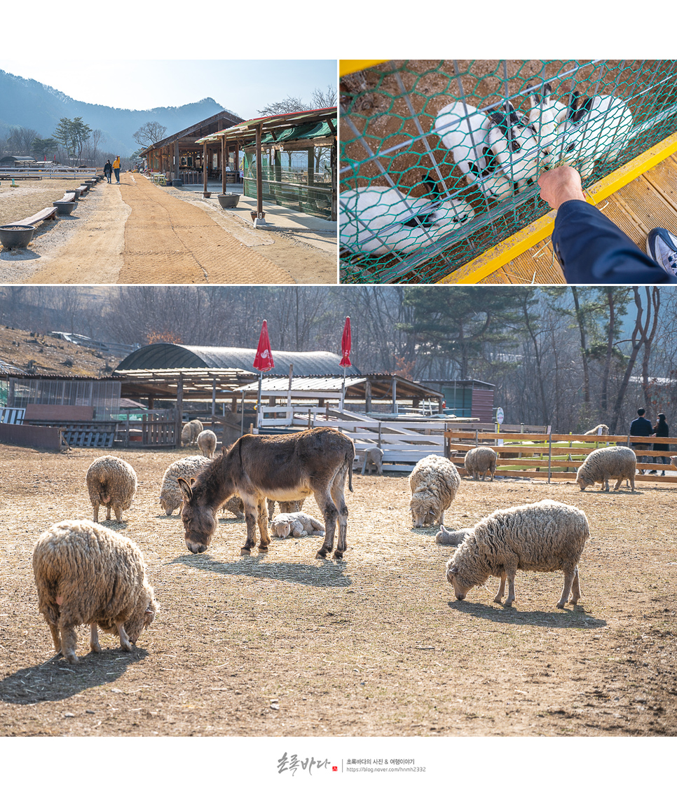 강원도 춘천 가볼만한곳 해피초원목장 외 춘천 여행코스