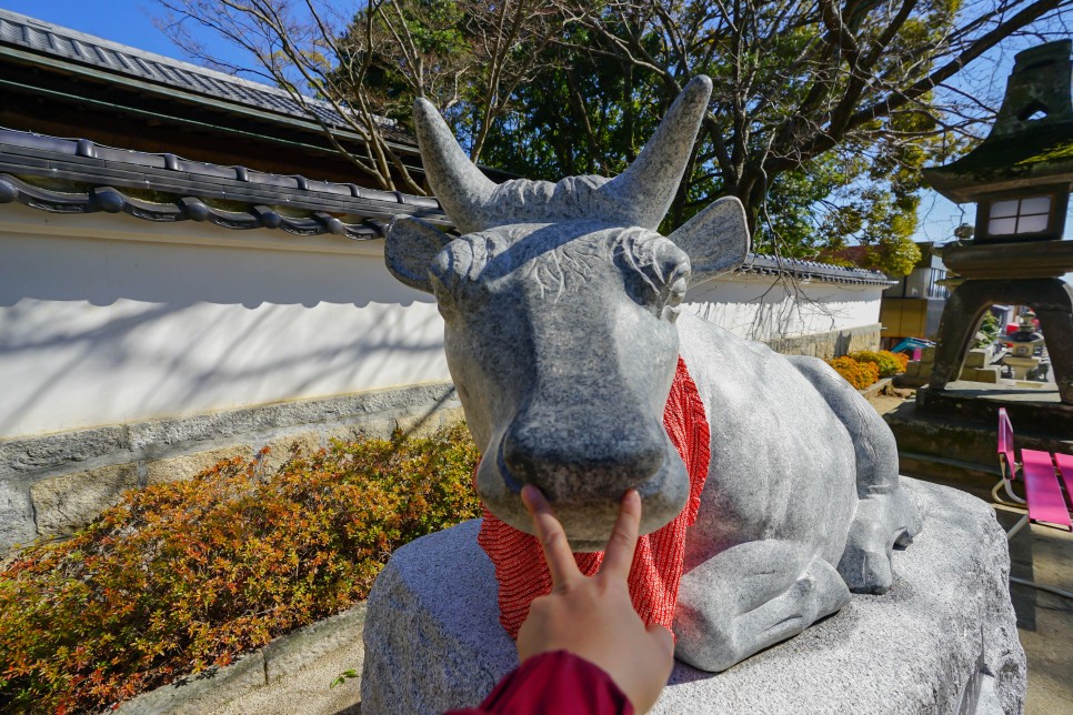 꽃피던 봄에 다녀왔던 일본 관광지 야마구치 랜선여행