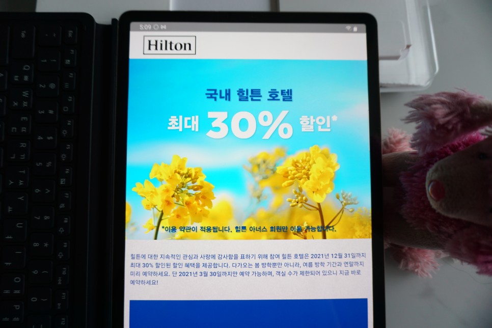 힐튼 세일 프로모션 한국 hilton 부산 경주 서울 국내 힐튼호텔 30%할인