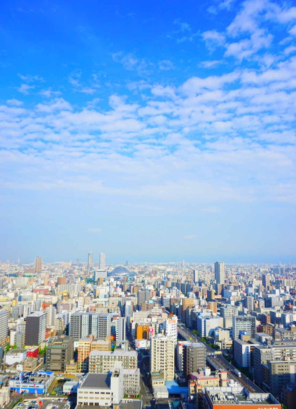 일본여행 추천 도시 BEST5 + 고치현 캠페인 응모 이벤트 소식