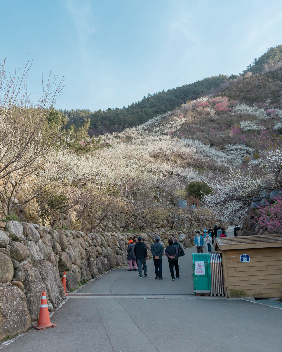 남자 모자 추천  봄코디로 캡스앤스터프 볼캡 포인트!