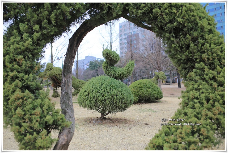 서울 근교 가볼만한곳 수원 효원공원 월화원