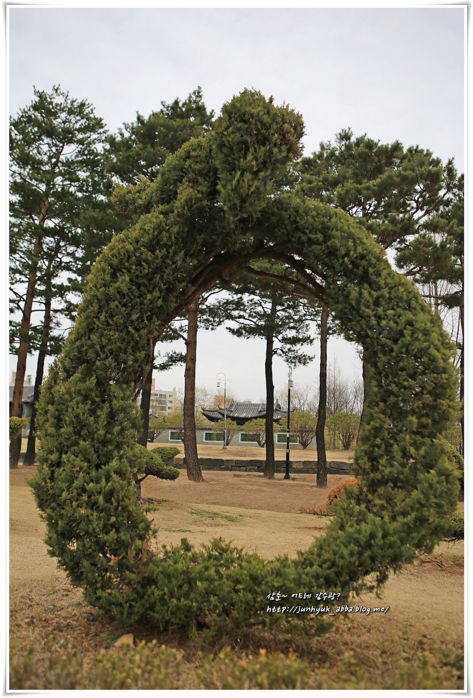 서울 근교 가볼만한곳 수원 효원공원 월화원