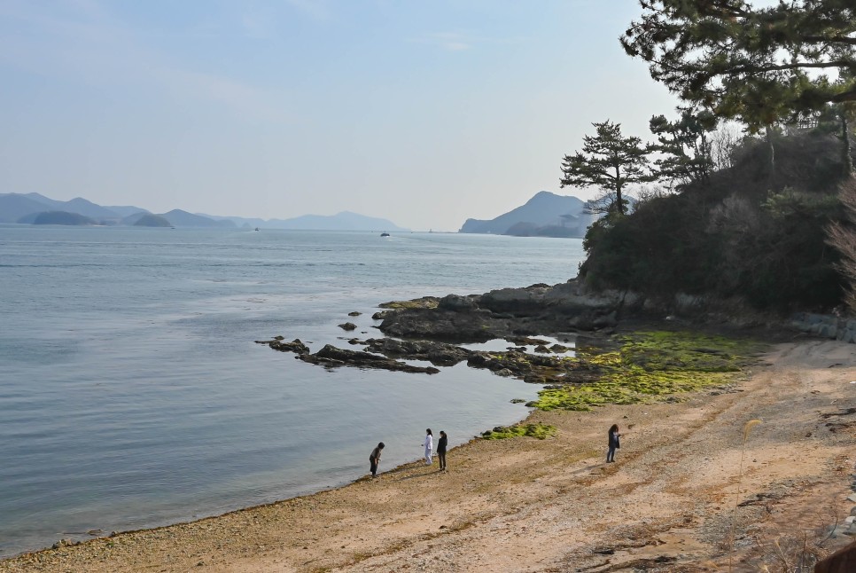 통영 이순신공원 봄꽃 가득한 바다 산책로 걷기좋은길