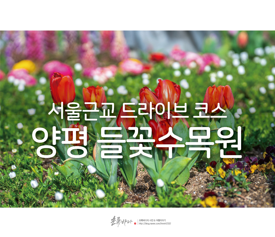경기도 여행 드라이브 코스 양평 들꽃수목원