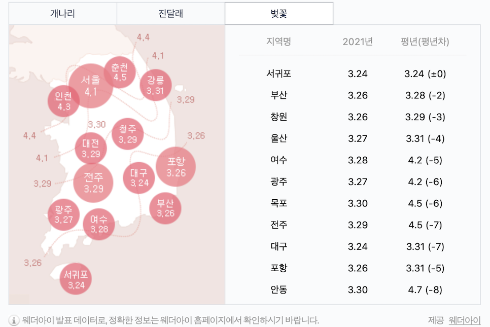 2021 벚꽃 개화시기 여의도 축제 경주 가고 싶다