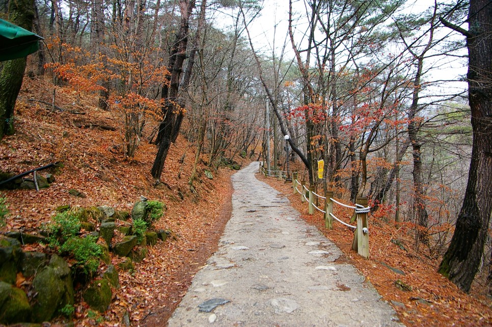 강원도 춘천 가볼만한곳 김유정역과 소양강댐, 청평사 등 명소 정리