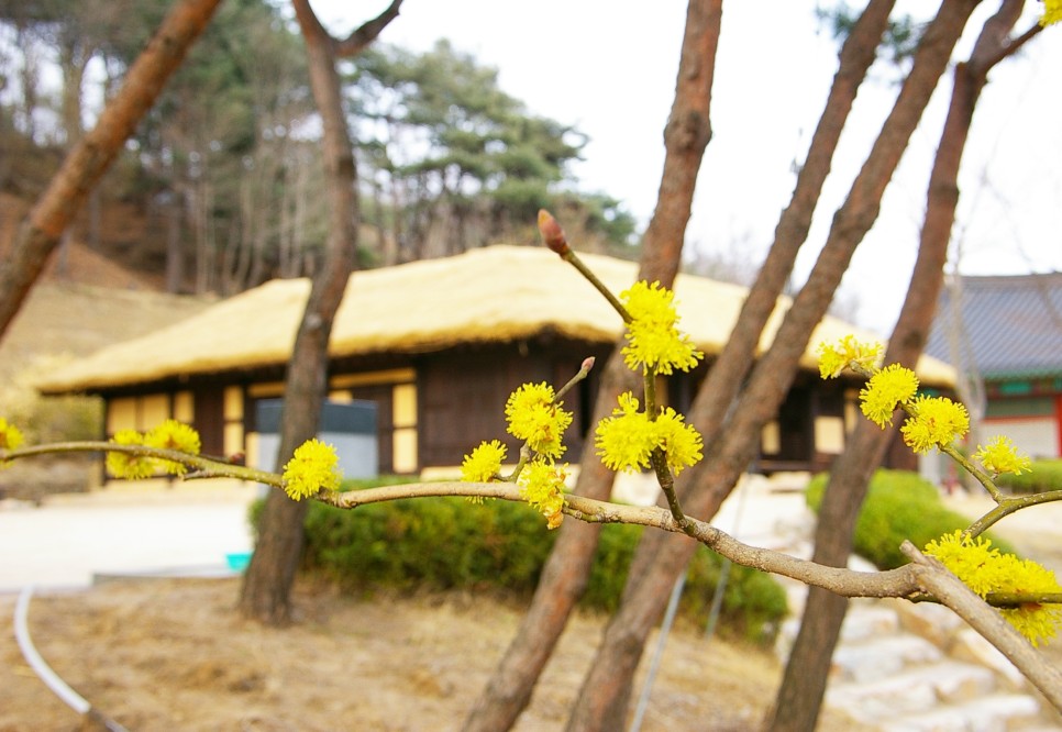 강원도 춘천 가볼만한곳 김유정역과 소양강댐, 청평사 등 명소 정리