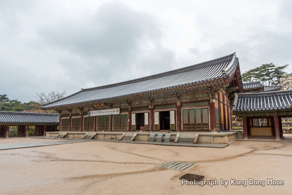 경북 가볼만한곳 경주 불국사 벚꽃이 예뻐 꽃구경 가기 좋아