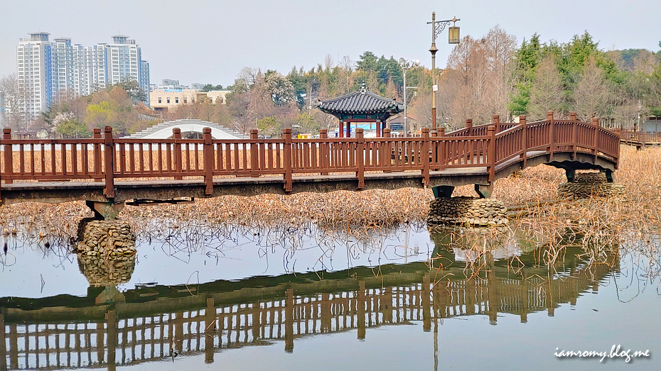 전주 덕진공원, 공사 중 이어도 봄꽃여행 국내 산책하기 좋은 곳