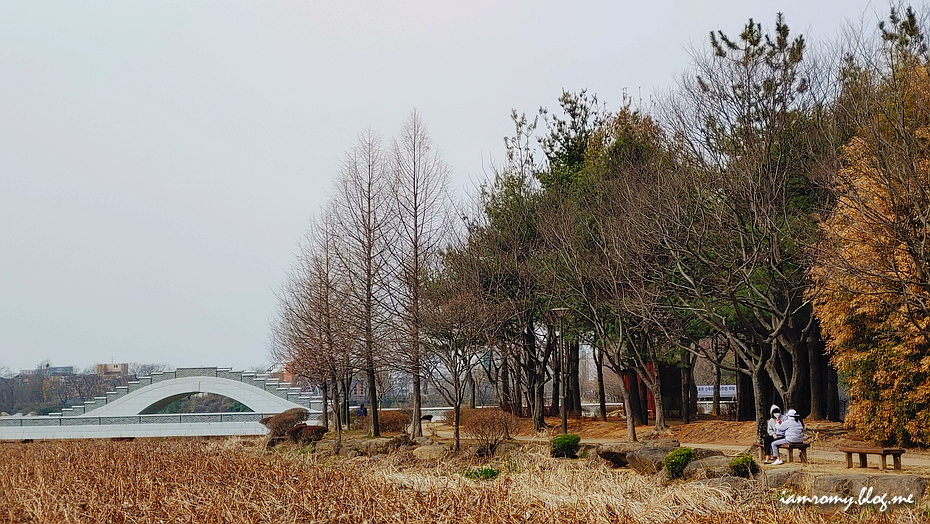 전주 덕진공원, 공사 중 이어도 봄꽃여행 국내 산책하기 좋은 곳