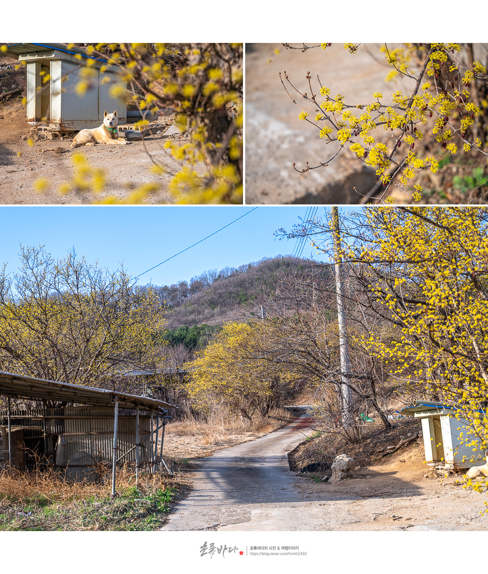 양평 가볼만한곳 갈산공원, 양평 양떼목장까지 7곳