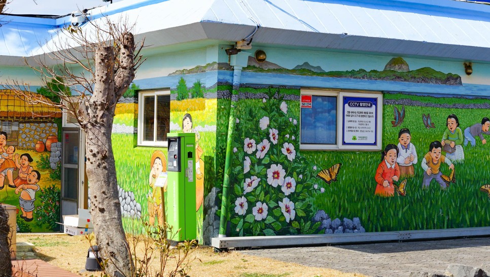 제주 가파도 배편 배시간표 청보리축제 기간 청보리밭 보고오세요~