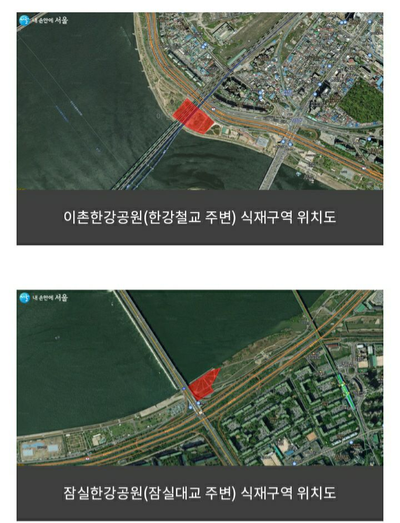 경희애문화 서울시 정보, 나무 심으러 한강 가요! 식목월 캠페인 참여자 모집