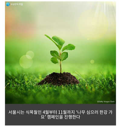 경희애문화 서울시 정보, 나무 심으러 한강 가요! 식목월 캠페인 참여자 모집