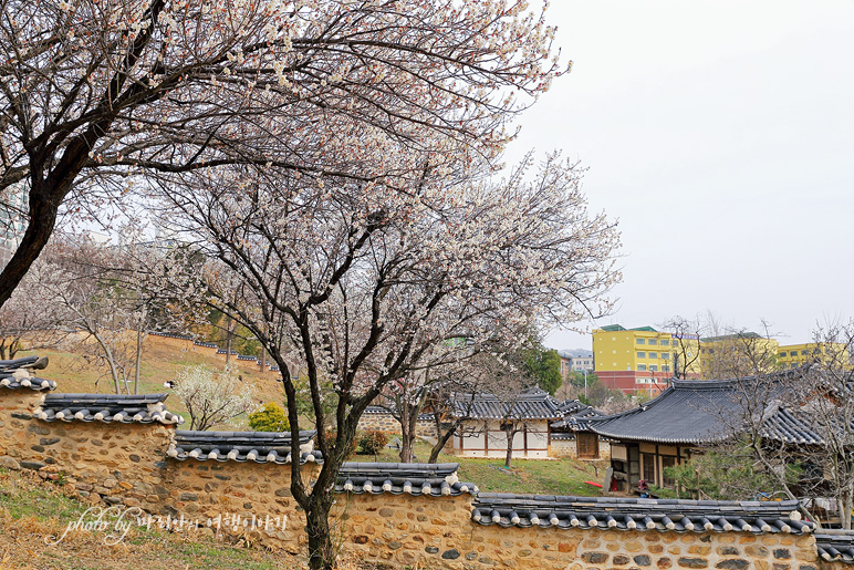 대전 여행 코스 우암사적공원 산책로 따라 힐링여행