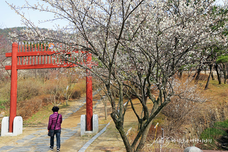 대전 여행 코스 우암사적공원 산책로 따라 힐링여행